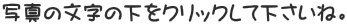 写真の文字の下をクリックして下さいね。